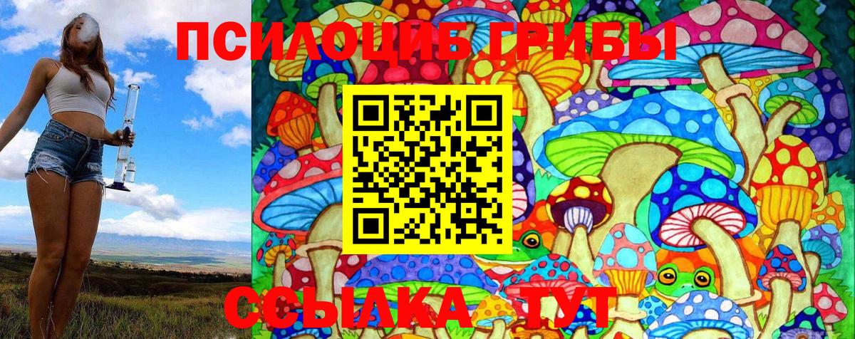 Галлюциногенные грибы Cubensis Кулебаки